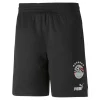 Ägypten 22/23 Replica Shorts Herren PUMA 7