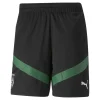 Borussia Mönchengladbach Fußball Trainingsshorts Herren PUMA 16