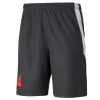 Hose Park Shorts PUMA 5