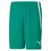 Hose TeamLIGA Short PUMA 7