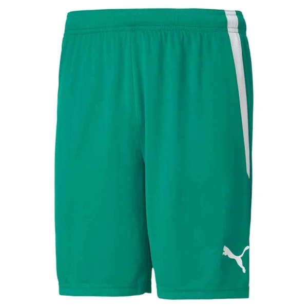 Hose TeamLIGA Short PUMA 1