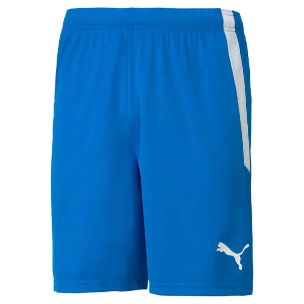 Hose TeamLIGA Short PUMA 1