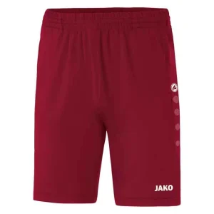 Hose Trainingsshort Premium JAKO 6