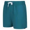 Regatta Mawson II Badeshorts Für Herren – Grün 8