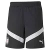 Österreich Fußball Trainingsshorts Herren PUMA 5