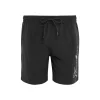 Schwimmshorts THBEmblem Herren THREADBARE 5