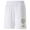 Serbien 22/23 Replik-Shorts Für Herren PUMA 10